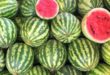 Manfaat Buah Semangka Untuk Kesehatan