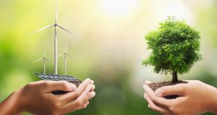 10 Cara Sederhana Menuju Gaya Hidup Go Green yang Ramah Lingkungan